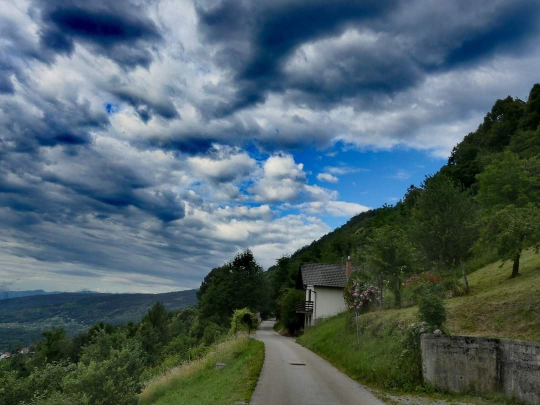 View of a house with greenery